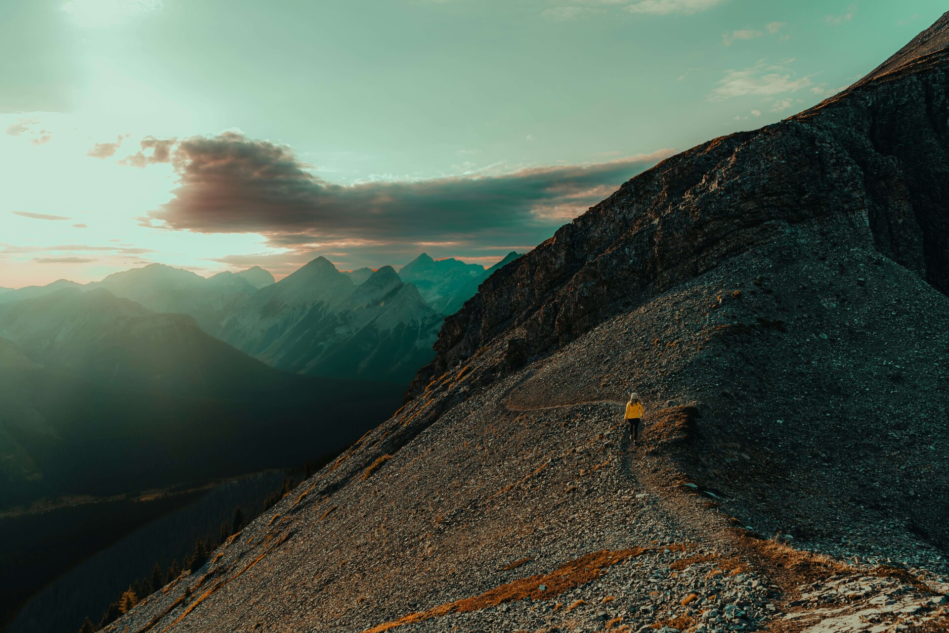 khaled ali yg iynyewum unsplash